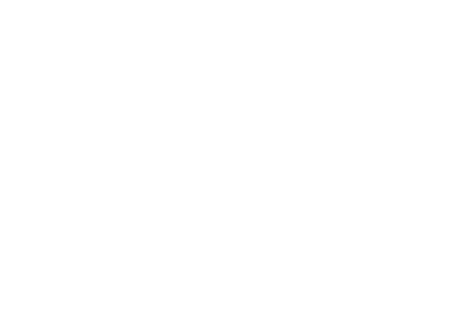 Joakin's